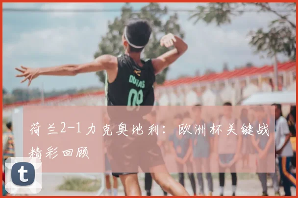 荷兰2-1力克奥地利：欧洲杯关键战精彩回顾