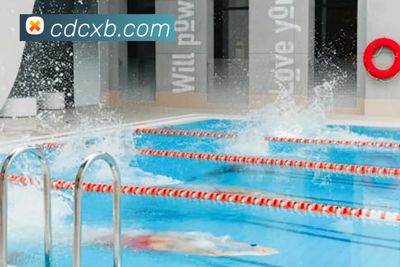 App Interface Preview